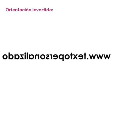 Dirección Web