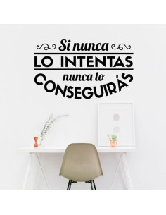Si nunca lo intentas nunca lo conseguirás 