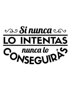 Si nunca lo intentas nunca lo conseguirás  2
