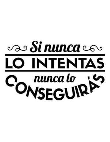 Si nunca lo intentas nunca lo conseguirás 