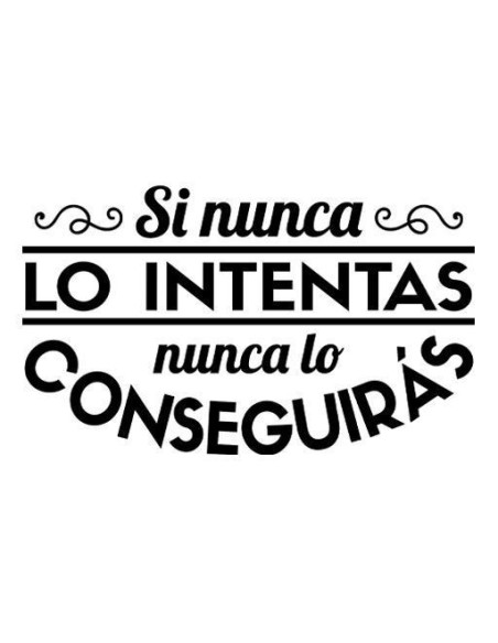 Si nunca lo intentas nunca lo conseguirás 
