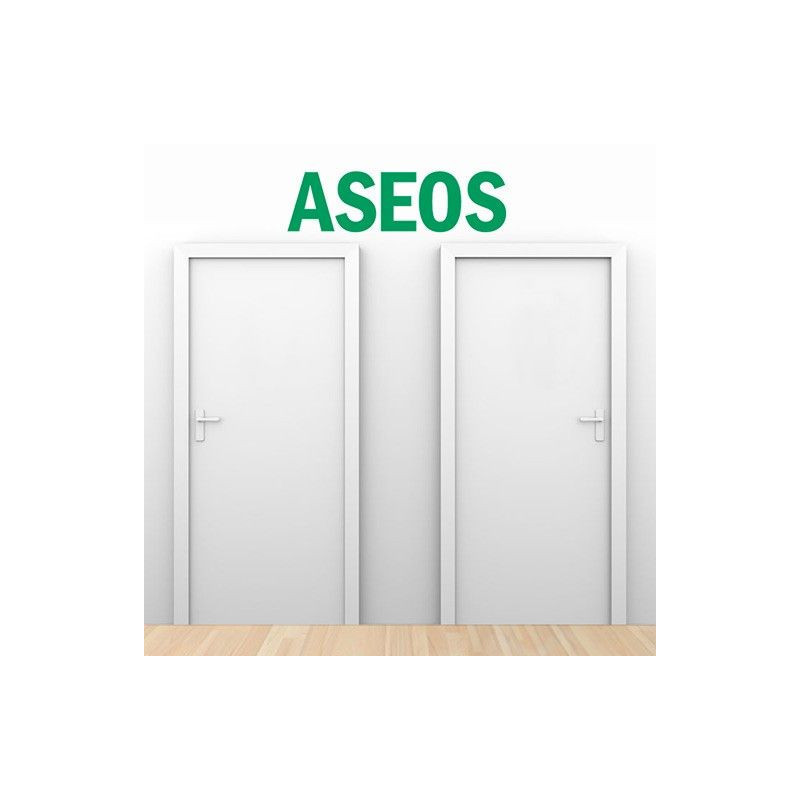 Vinilo aseos