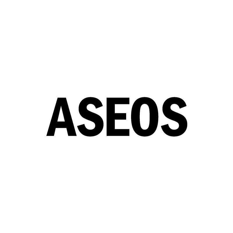 Vinilo aseos