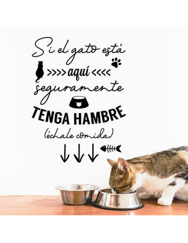 Si el gato está aquí