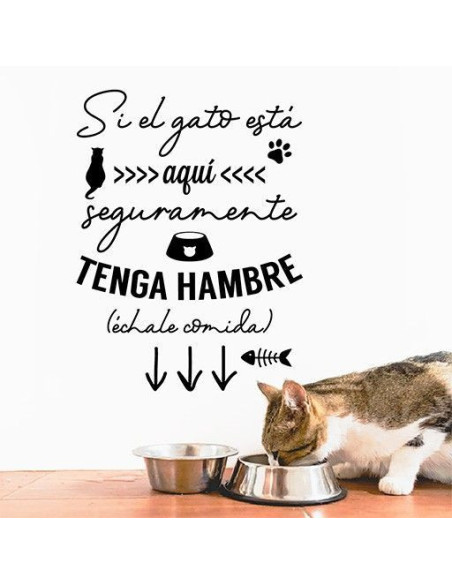 Si el gato está aquí