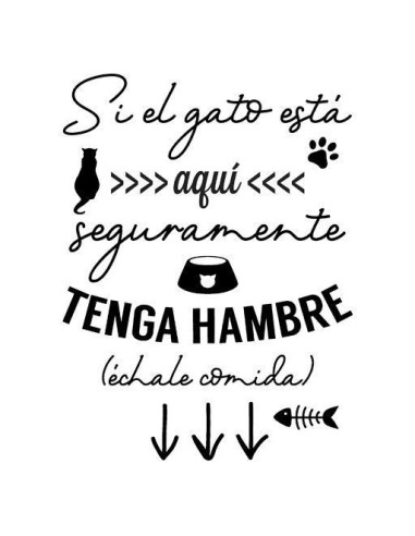 Si el gato está aquí