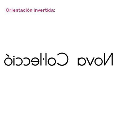 Nova Col·lecció