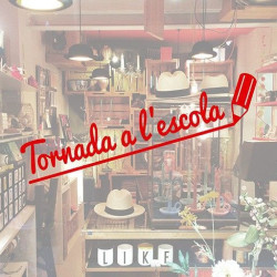 Tornada a l'escola