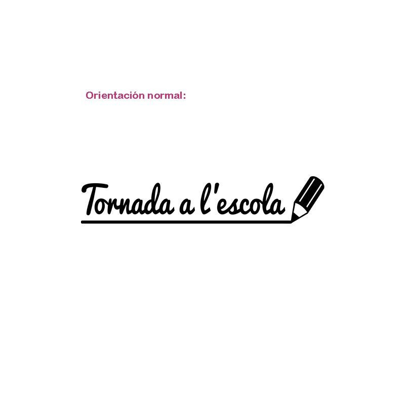 Tornada a l'escola