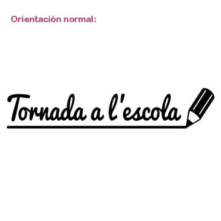 Tornada a l'escola
