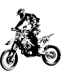Motocross numero personalizado 2