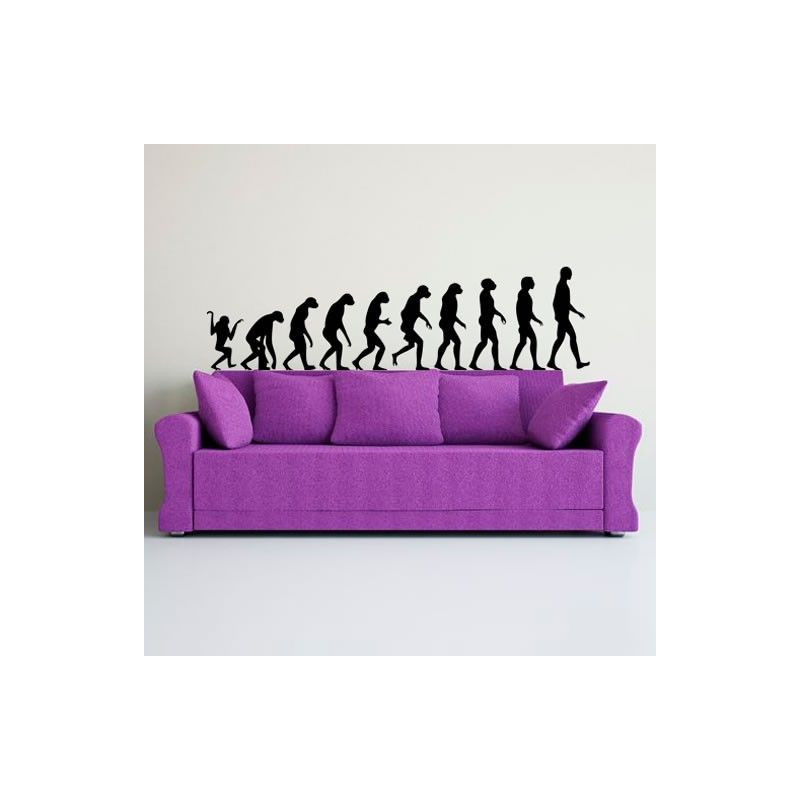 Evolución