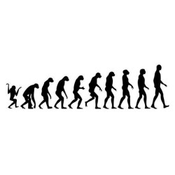 Evolución 2