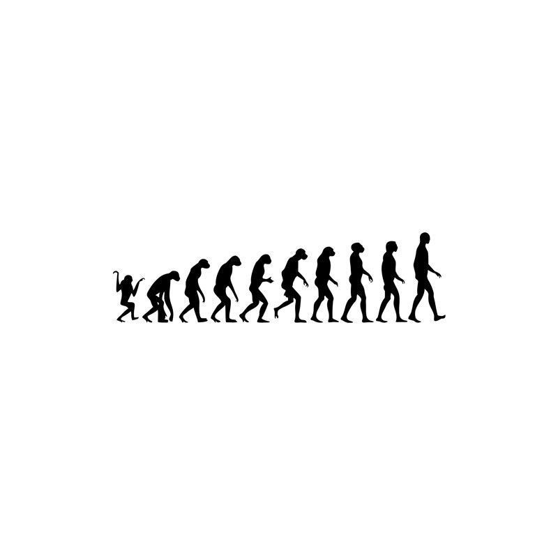 Evolución