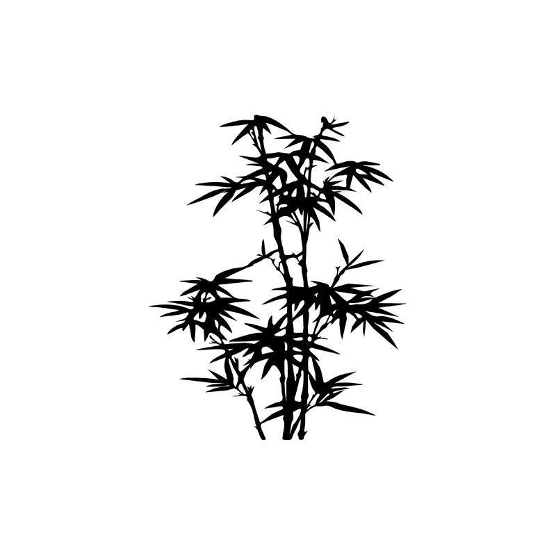 Planta Bambú