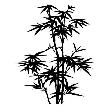 Planta Bambú