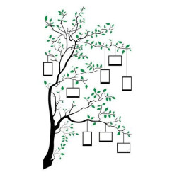 Árbol Fotos 2