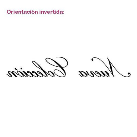 Nueva Colección