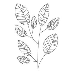 Hojas decorativas 2
