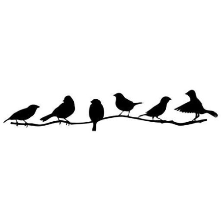 Pájaros en rama