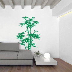 Planta Bambú