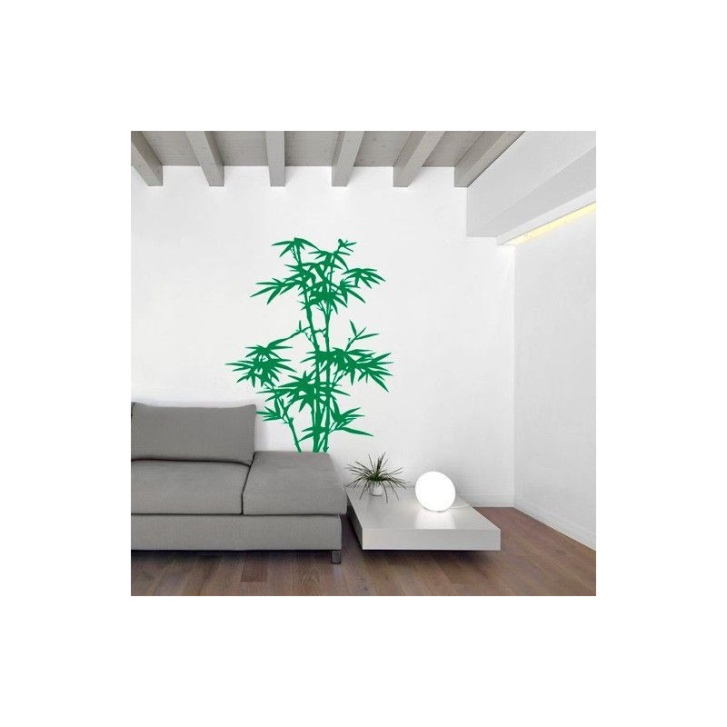 Planta Bambú