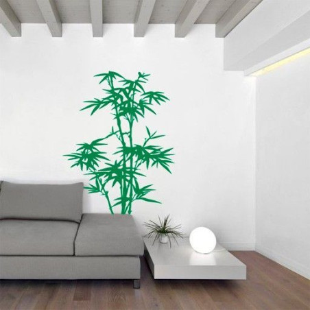 Planta Bambú