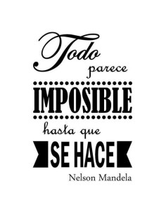 Vinilo Frase Mandela 2