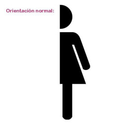 Mujer Cortada 2