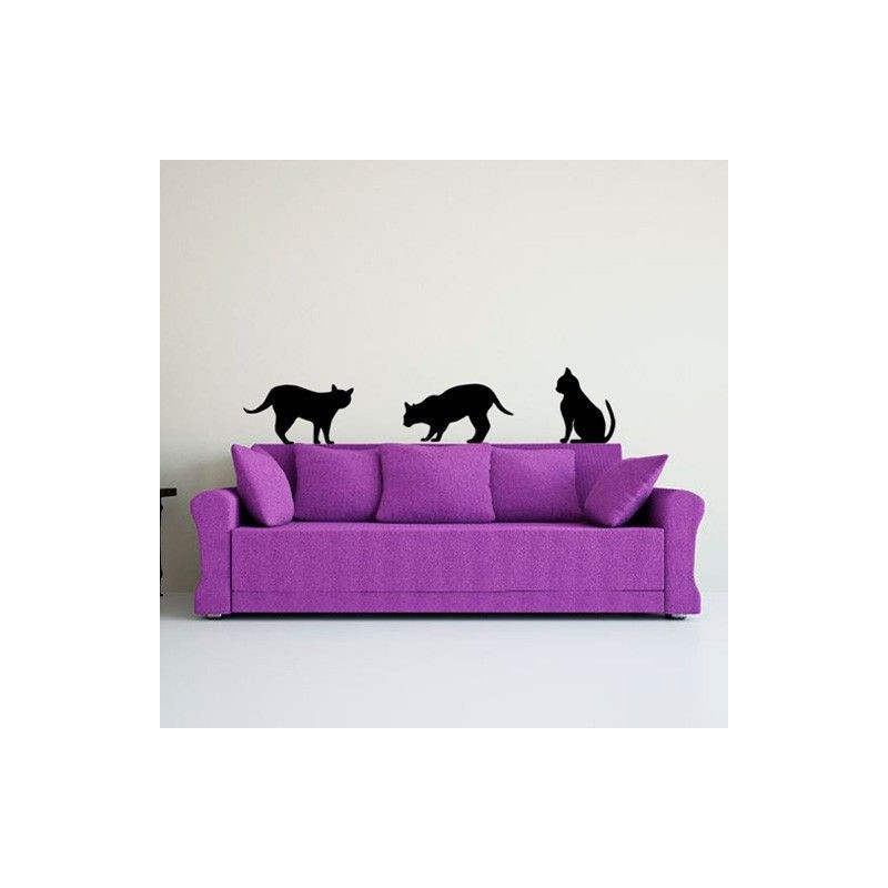 Gatos