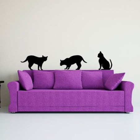 Gatos