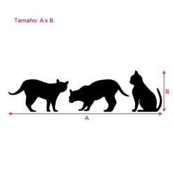 Gatos 2