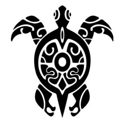 Tortuga 2